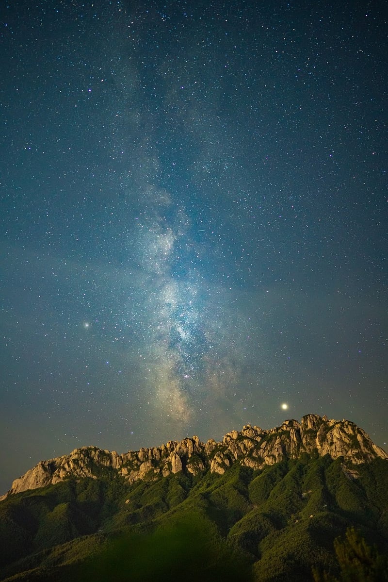 Wilderness at Night